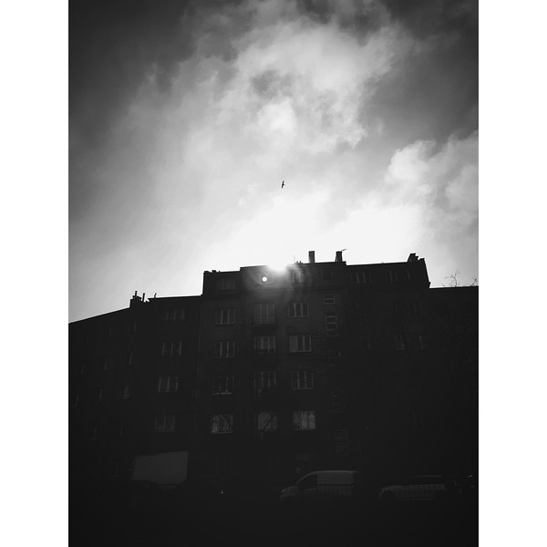 Processed with VSCO with  preset