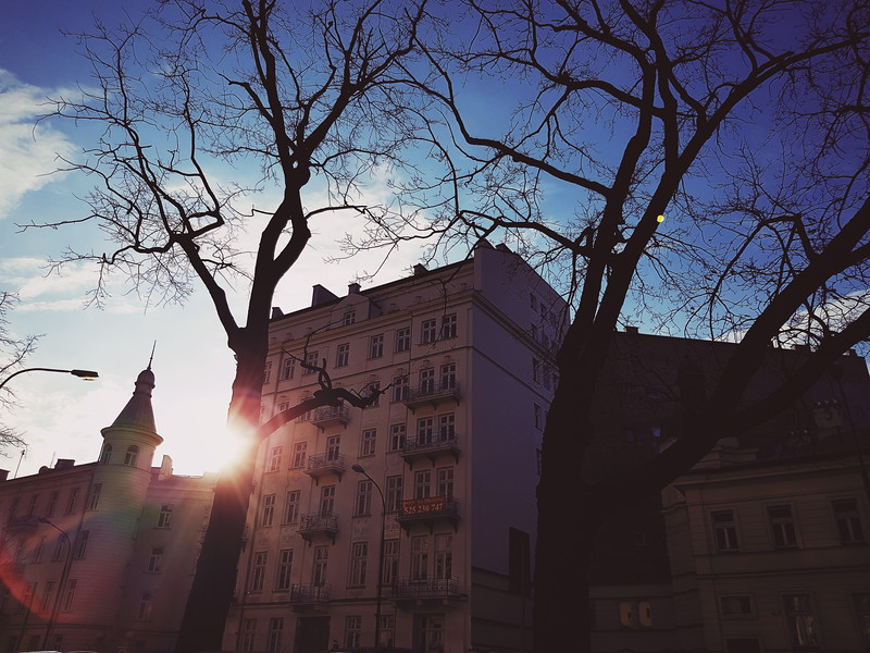 Processed with VSCO with ku4 preset